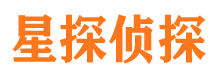 眉县市调查公司